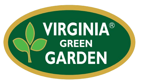 viginia green removebg preview