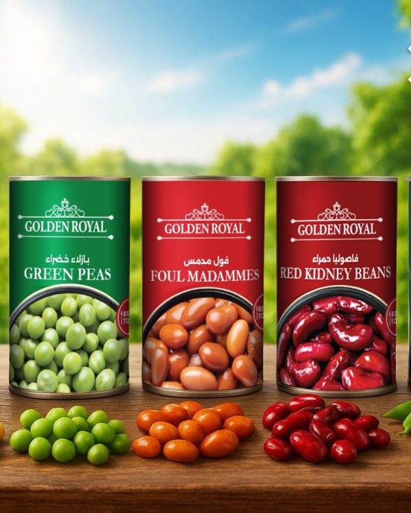 whatsapp image 2025 10 20 at 4.14.19 pm (1)